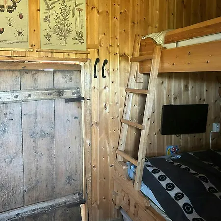 Historic Log With Views Of Rondane Vakantiehuis *