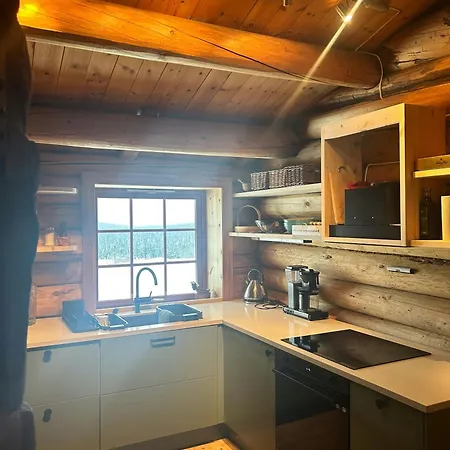 Historic Log With Views Of Rondane Tatil Evi *